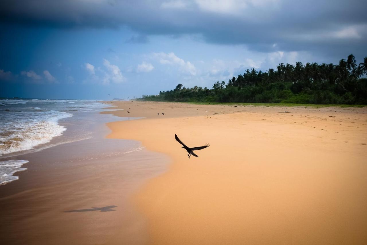 Sanda Eliya Resort Bentota Buitenkant foto
